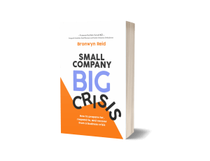 Cover of Small Company, Big Crisis