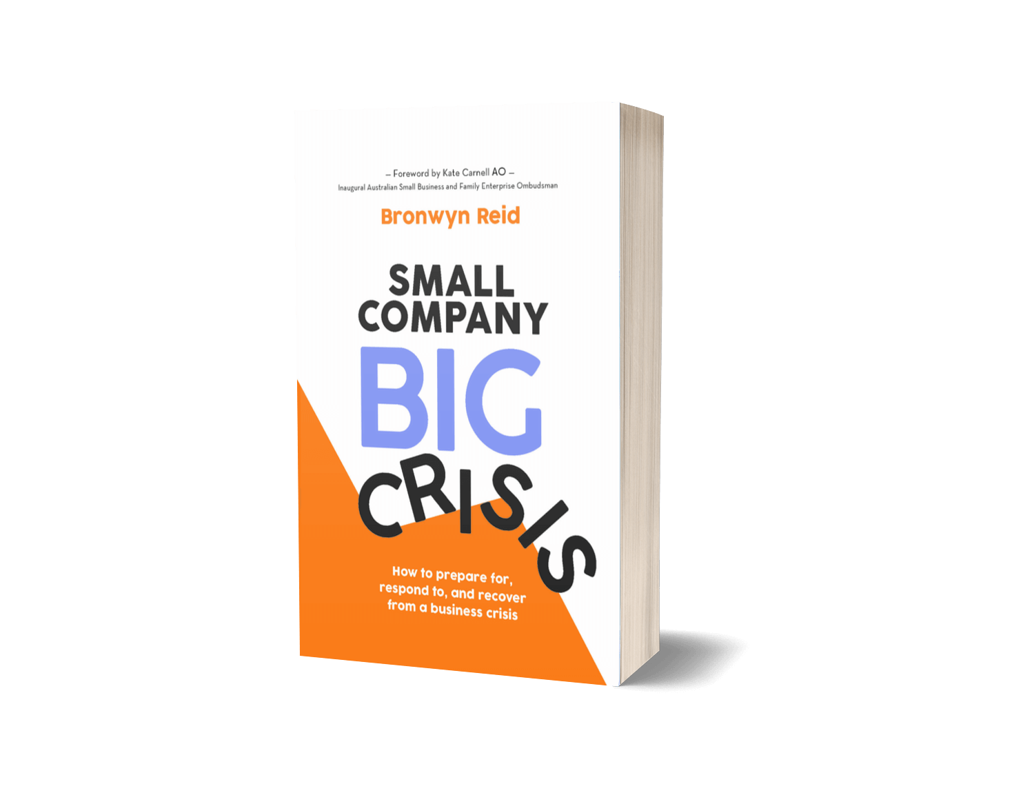 Cover of Small Company, Big Crisis