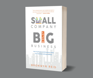Book Cover Small Company, Big Business