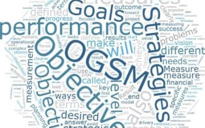 Is  OGSM a good approach to performance measure?