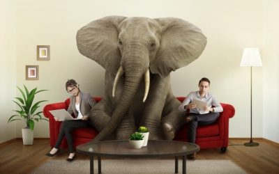 Is “Business Growth” the Elephant in the room?