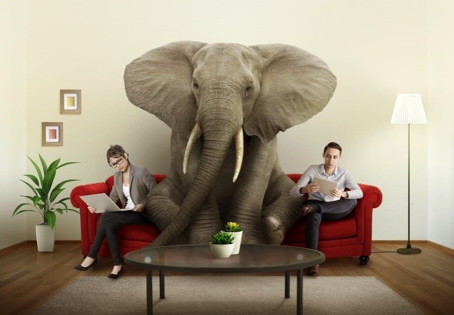 Is “Business Growth” the Elephant in the room?