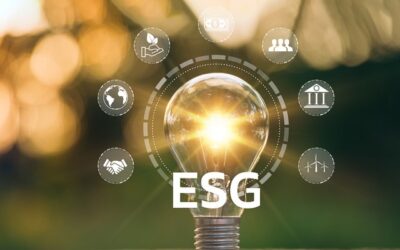 Why ESG is No Longer Optional for SMEs