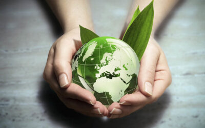 Why Social Licence Matters – From the SME Perspective